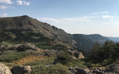 What My Chat Thinks of Me